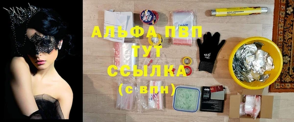винт Алексин