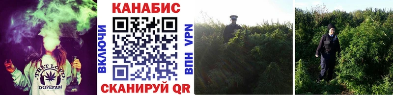 наркота  Пыталово  Конопля OG Kush 